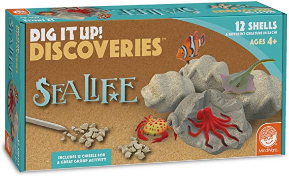 MindWare Dig It Up! Sea Life Shells Excavation kit