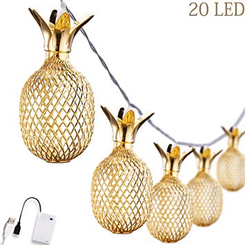 Omika Gold Metal Mesh Pineapple Lantern String Lights, 10.85ft 20 LED USB Plug & Battery Powered Novelty Fairy Lights for Bedroom Wedding Birthday Party Decorations(Warm White)