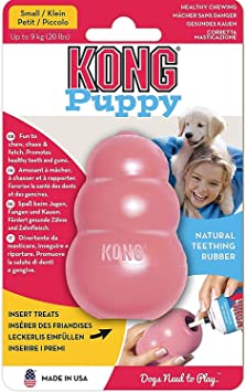 KONG - Puppy Toy Natural Teething Rubber - Fun to Chew, Chase and Fetch (Color May Vary)