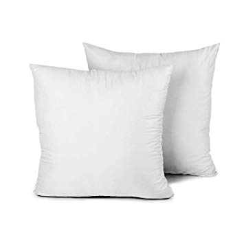 Edow Throw Pillow Insert, Set of 2 Hypoallergenic Down Alternative Polyester Square Form Decorative Pillow, Cushion,Sham Stuffer,18 x 18 inches. (Light Gray, 18x18)
