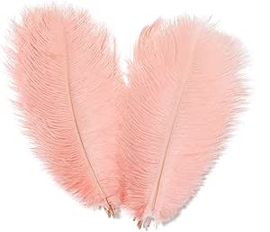 AWAYTR 10-12 inch (25-30cm) Natural Ostrich Feathers for Wedding Centerpieces Home Decoration,Flower Arrangement,DIY Christmas Decorations (10pcs,Pink)