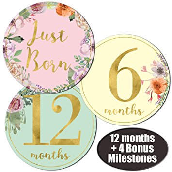 Newborn Baby Girl Gold Floral Monthly Stickers - Great Shower Registry Gift or Scrapbook Photo Keepsake