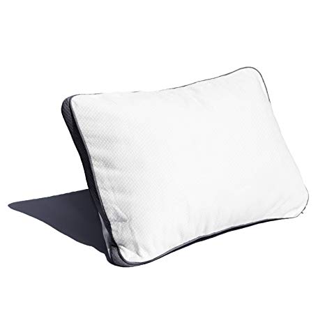 Coop Home Goods - Lulltra Hypoallergenic Zippered Pillow Protector Covers - Machine Washable - 15 Year Warranty (Camping White)