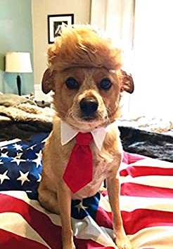 Trump Style Pet Costume Dog Wig, Donald Dog Clothes with Collar & Tie Head Wear Apparel Toy for Halloween, Christmas, parties, festivals by FMJI