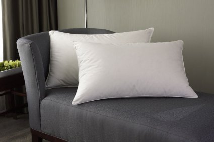 Westin Hotel Feather and Down Pillow - King