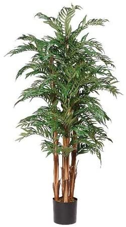 5' Parlor Palm Silk Tree