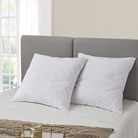 Serta Feather Euro Pillows 26x26 Set of 2, 26" L X 26" W, Standard/White (SE200901K)