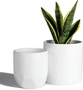 POTEY 053703 Ceramic Plant Pots Indoor Set of 2-6 inch Modern Large Cylinder Planter   4.8 inch Medium Hexagon Plant Pot, Matte White Decorative Containers for Aloe Plants Flower(Plant NOT Included)