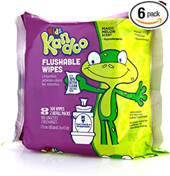 Flushable Wipes for Babies and Kids, Magic Melon by Kandoo, Potty Training Wet Cleansing Cloths Refills, 100 Ct, Pack of 6 (Packaging May Vary)