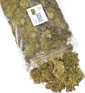 Royal Imports Fresh Dried Forest Green Moss, Naturally Preserved, Loose Chunks, 8 Oz Bag