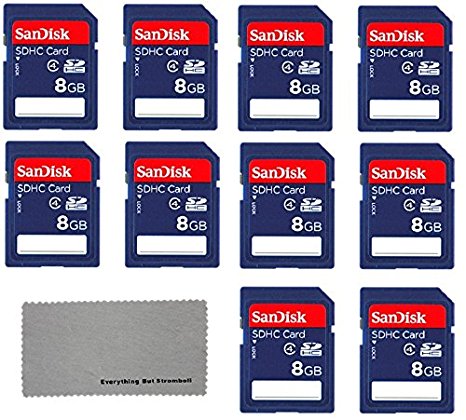 SanDisk 8 GB Class 4 SD Flash Memory Card - 10 Pack With Everything But Stromboli (tm) MicroFiber Cleaning Cloth