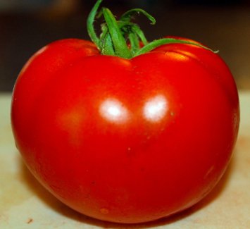 Celebrity Tomato 45 Seeds -Disease Resistant!