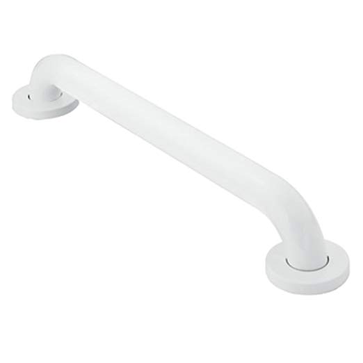 Moen R8716W Home Care 16-Inch Concealed Screw Bath Safety Bathroom Grab Bar, Glacier