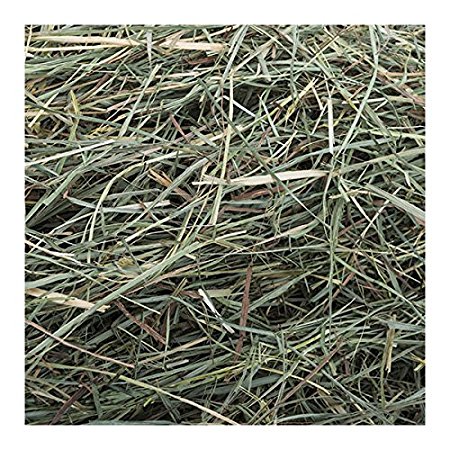 Small Pet Select Orchard Grass Hay Pet Food