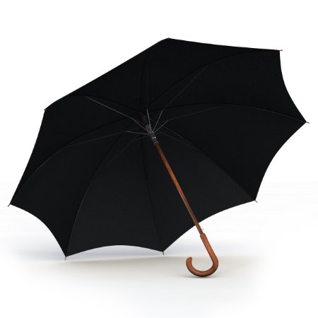 Procella Black 48-Inch Classic Auto Open Walking Stick Umbrella with Wooden Handles