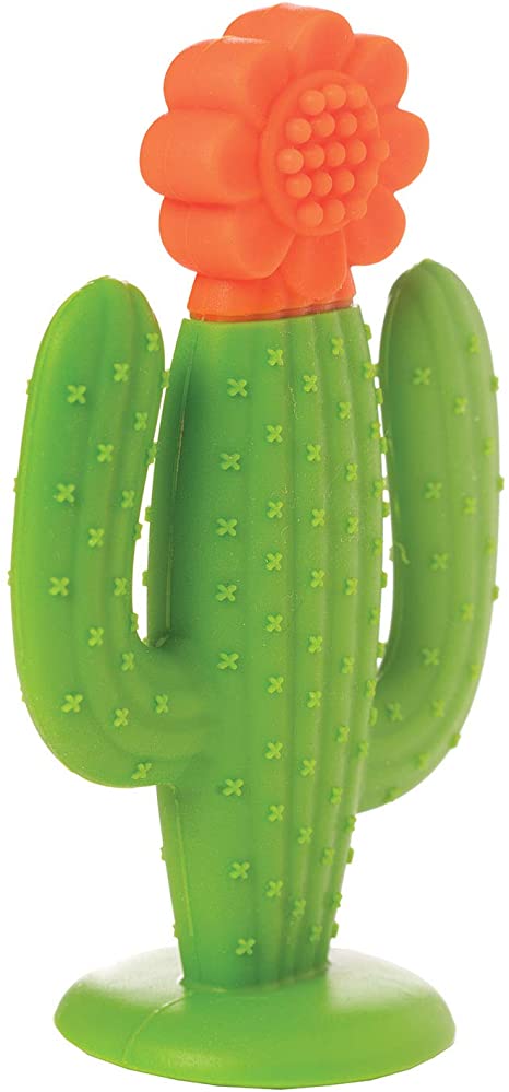 Manhattan Toy Cactus Textured Silicone Teether