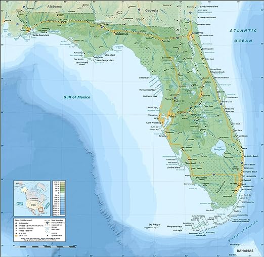 Home Comforts Large Detailed Physical map of Florida State Vivid Imagery Laminated Poster Print 12 Inch by 18 Inch
