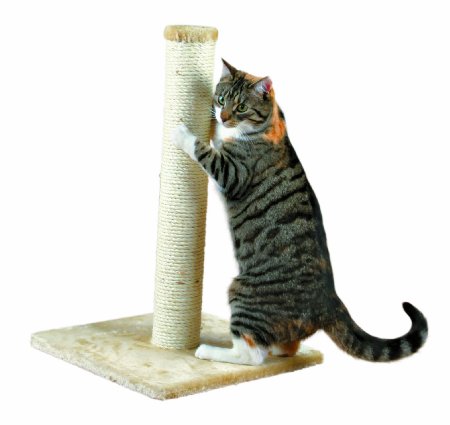 TRIXIE Pet Products Parla Scratching Post