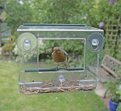 Garden mile® Unique Clear Hanging Perspex Squirrel proof Window Bird Feeder glass viewing bird feeding station table seed or peanut with hanging suction cups