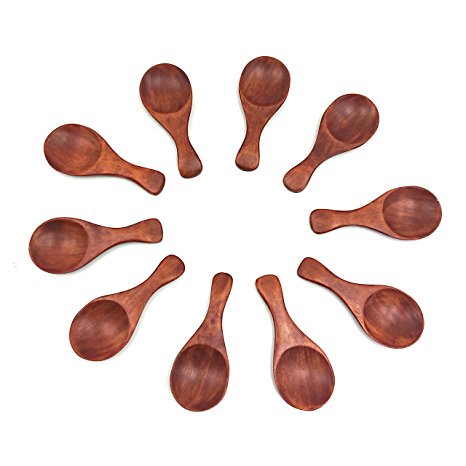 M2Cbridge Set of 10 Handmade Small Wooden Spoons Sugar Seasoning Salt Spoons (Brown)