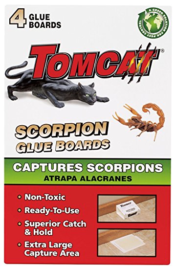 Tomcat Scorpion Glue Boards, 4-Pack (Not Sold in AK)