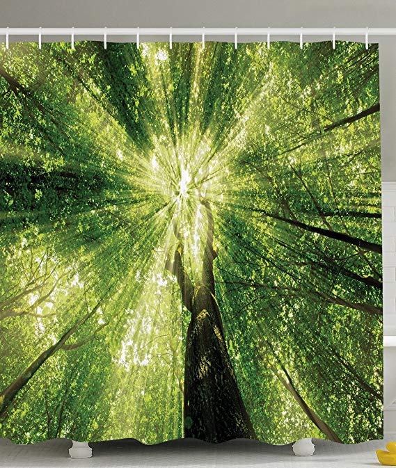 Ambesonne Green Shower Curtain Woodland Decor by, Pathway in the Forest with Sunlight Tree Branches Theme, Polyester Fabric Bathroom Shower Curtain Set with Hooks, 69 x 70 Inches Long