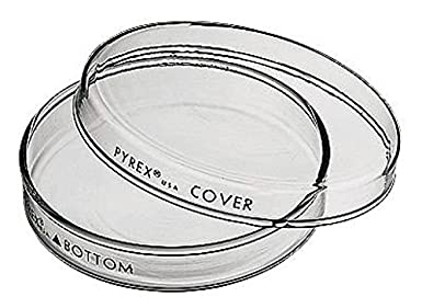 Pyrex 3160-101 Brand 3160 Petri Dish; 100 x 15 mm, Pack of 12