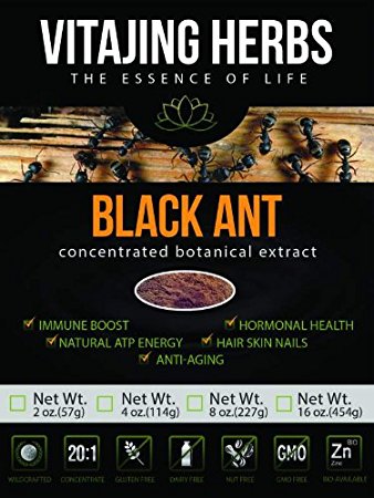 Polyrachis Black Ant Extract Powder