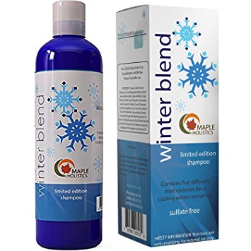 Daily Shampoo for Beautiful Hair - Sulfate Free Natural Hair Care Aromatherapy Shampoo for Oily Scalp with Cooling Invigorating Vitamin Rich Mint Blend for Healthy Hair Growth - Safe For Colored Hair
