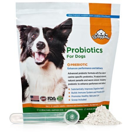 Wagglies Probiotics for Dogs with Prebiotic - Human-grade Natural Odorless Powder Made in USA - Improves Pet Digestive Health - Gas Diarrhea Breath Itching and Yeast Urinary Tract Infection 6oz
