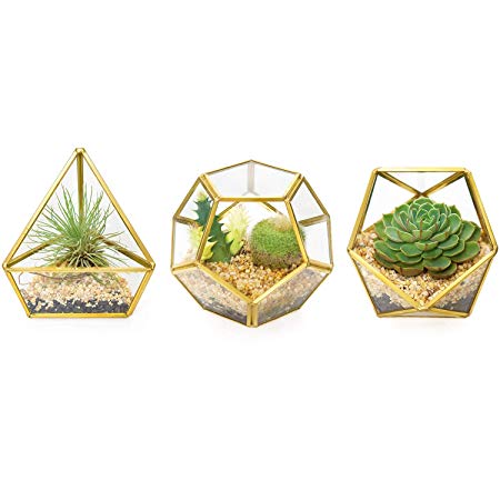 Mkono 3 Packs Mini Glass Geometric Terrarium Container Modern Tabletop Planter Window Sill Decor DIY Display Box Centerpiece Gift for Succulent Fern Moss Cacti Air Plants Miniature Fairy Garden, Gold