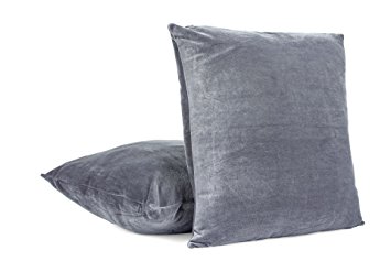 2-PC 18 x 18 Inches Soft Velvet Decorative Pillow Cover, Throw Pillow Case (Grey)