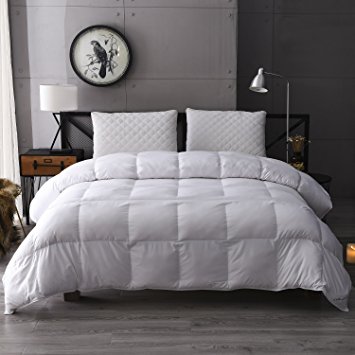 Colourful Snail White Goose Down Comforter Duvet Insert, Luxury Soft, Warm, Lightweight and Breathable, Queen, White