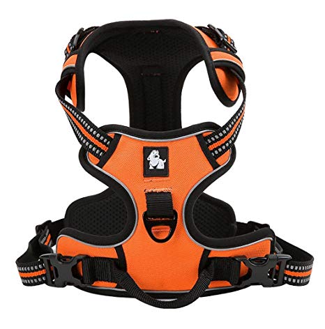 Kismaple Adjustable 3M Refletive Dog Harness, Soft Padded No Pull Outdoor Training/Walking Pet Vest with Handle, Puppy Chest Vest Harness for Small Dogs (XS (33-43cm), Orange)