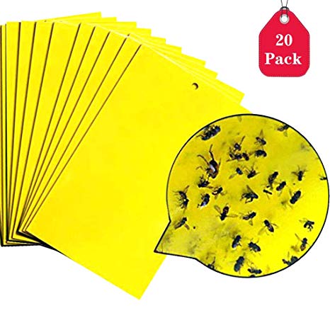 Amycute 20 Pack Dual-Sided Yellow Sticky Traps for Flying Plant Insect (6x8 Inches, Twist Ties Included)