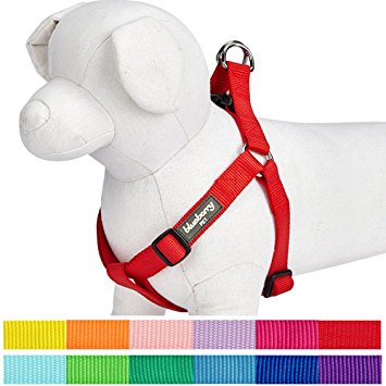 Blueberry Pet Classic Solid Color Adjustable Dog Harness, 12 Colors, Matching Collar & Leash Available Separately