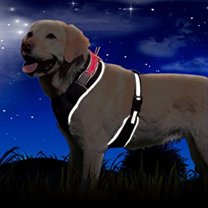 EXPAWLORER Soft Mesh LED Flashing Dog Harness Adjustable