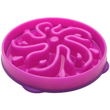 GOGOKING Outward Hound Fun Bowl Slow Dogs Mulberry Feeder Slow Feed Interactive Bloat Stop Dog Bowl
