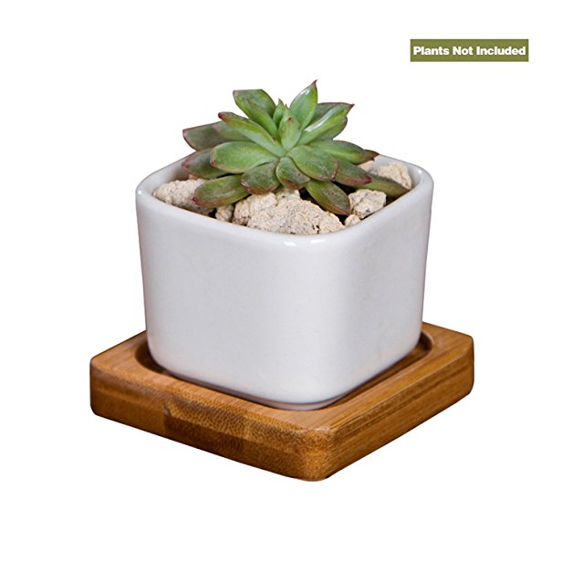JDWNF 2 Inch Mini Square Succulent Pots, Succulent Plants Flower Pots with Free Bamboo Tray Perfect for Home Office Window Boxes