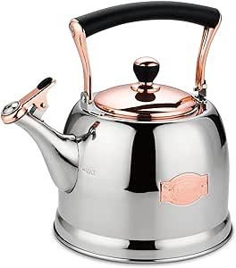 Tea Kettle Stainless Steel Teapot, Stainless Steel Teakettle for Stove Top with Heat Proof Ergonomic Handle 3.0 Quart