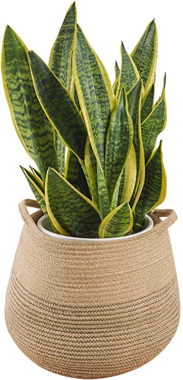 CHICVITA Jute Belly Plant Basket Woven Organizer for Storage Laundry Picnic Plant Pot Cover
