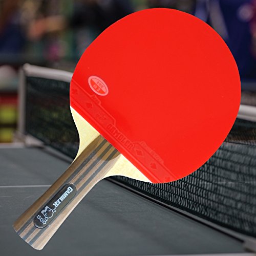 Custom Professional Table Tennis Paddle with Gambler Mega Weave Arylate Carbon Blade and Gambler Aces Rubber plus Case