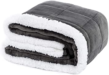 REEPOW Fleece Weighted Blanket 15 lbs Queen Size Bed for Adults,Comfy Cozy Sherpa Throw Blankets with Premium Ceramic Beads (Grey, 60” x 80”)