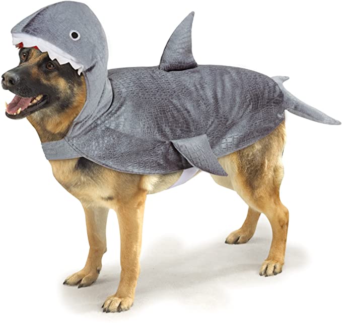 Casual Canine Casual Canine Shark Costume for Dogs, 24" XL
