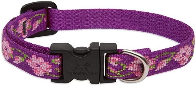 LupinePet 1/2 Inch Rose Garden Adjustable Dog Collar for Small Dogs