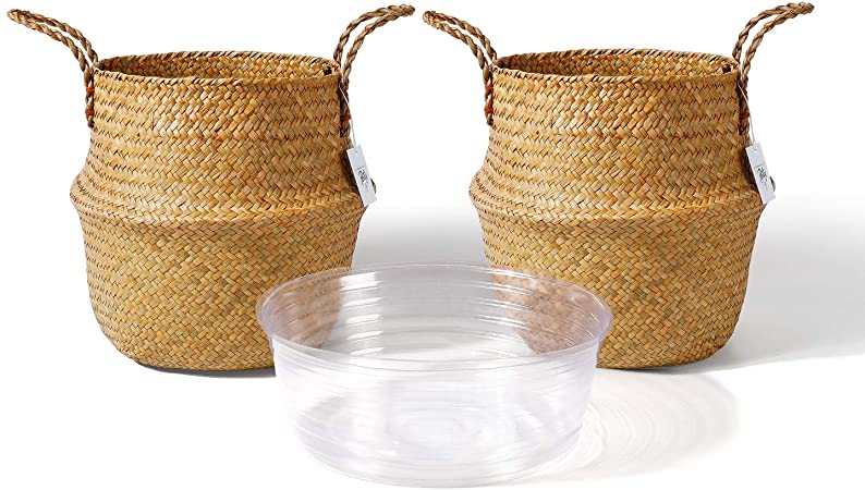 POTEY 720301 Seagrass Plant Basket - Hand Woven Belly Basket with Handles, Middle Storage Laundry, Picnic, Plant Pot Cover, Home Decor and Woven Straw Beach Bag (Set of 2 Middle, Original)