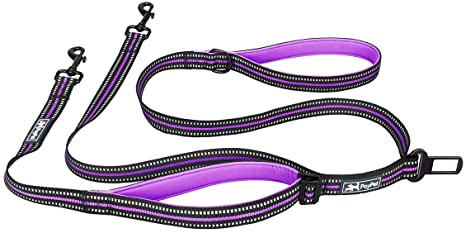 PoyPet 3 in 1 Detachable 5 Feet Reflective Dog Leash with Car Seat Belt Heavy Duty No Tangle for Small Medium Large Dogs(Purple)