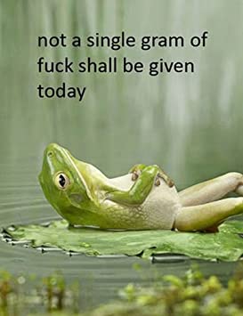 Funny Lazy Frog Quote Doing Nothing - Photo Fridge Magnet