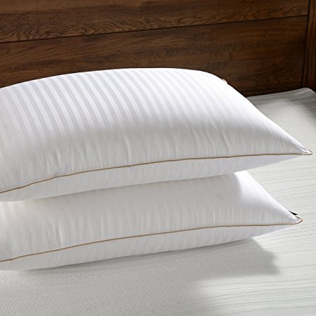 Basic Beyond White Goose Down Pillow, 700 Fill Power Cotton Fabric,White,Set of 2 (Standard.)