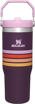 Stanley IceFlow Stainless Steel Tumbler with Straw, Vacuum Insulated Water Bottle for Home, Office or Car, Reusable Cup with Straw Leakproof Flip